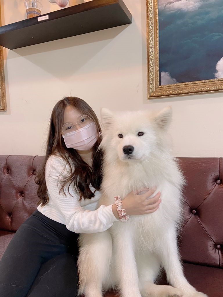 Trang Vy Bui poses for a picture with a Samoyed dog in a cafe'.