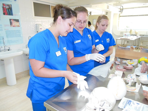 human cadaver prep in the anatomy lab.JPG