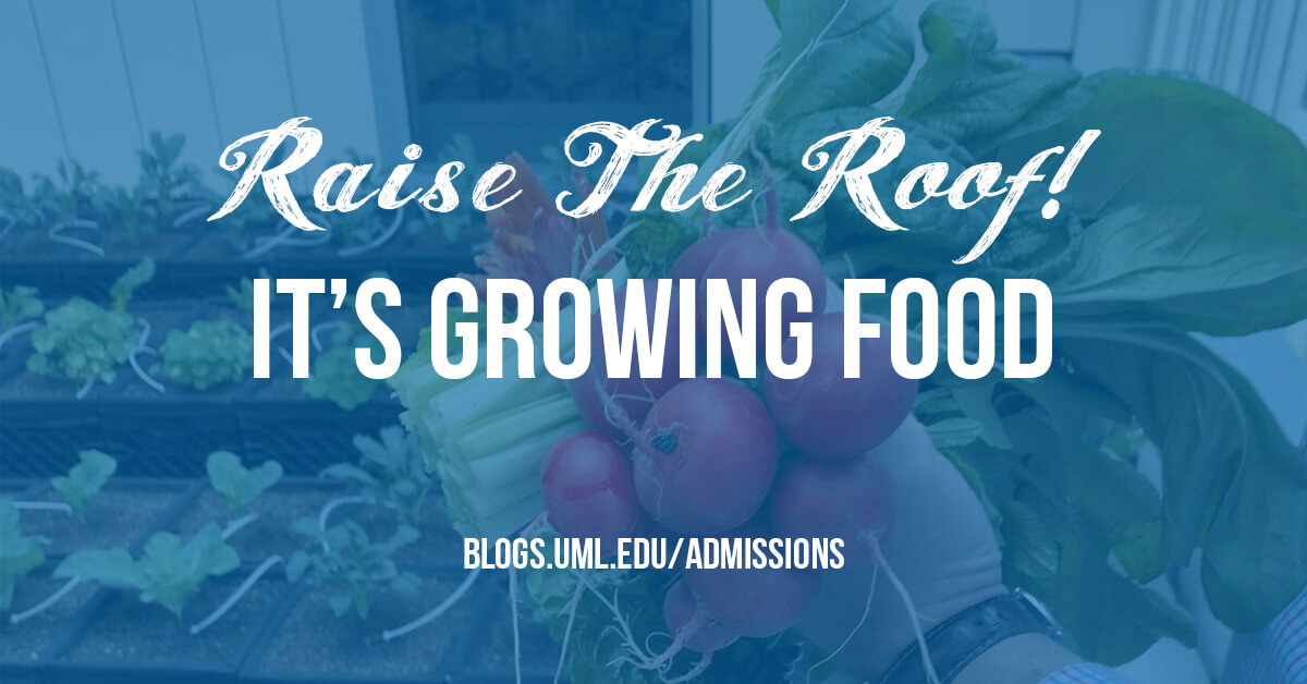 raise the roof it's growing food