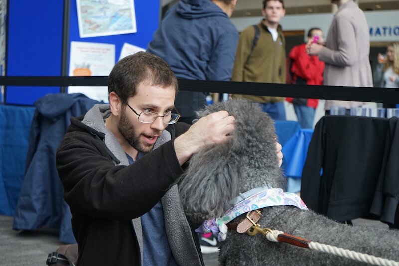 uml therapy dogs