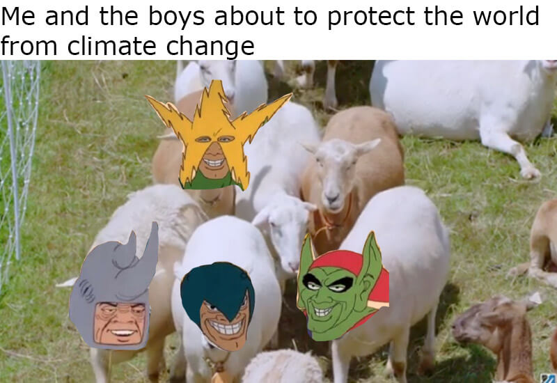 me and the boys about to protect the world from climate change sheep