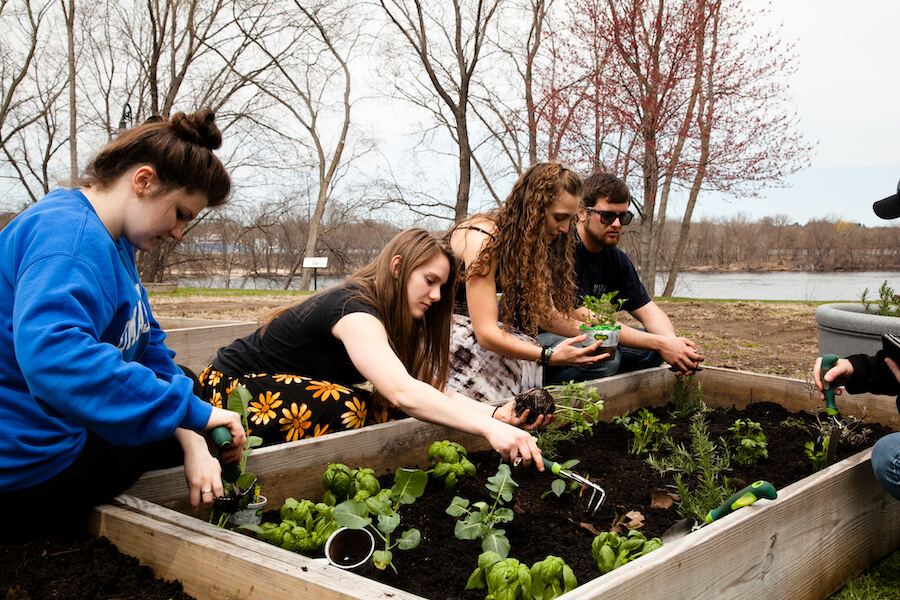 urban agriculture and sustainability at uml