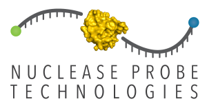 Nuclease Probe Technologies Logo