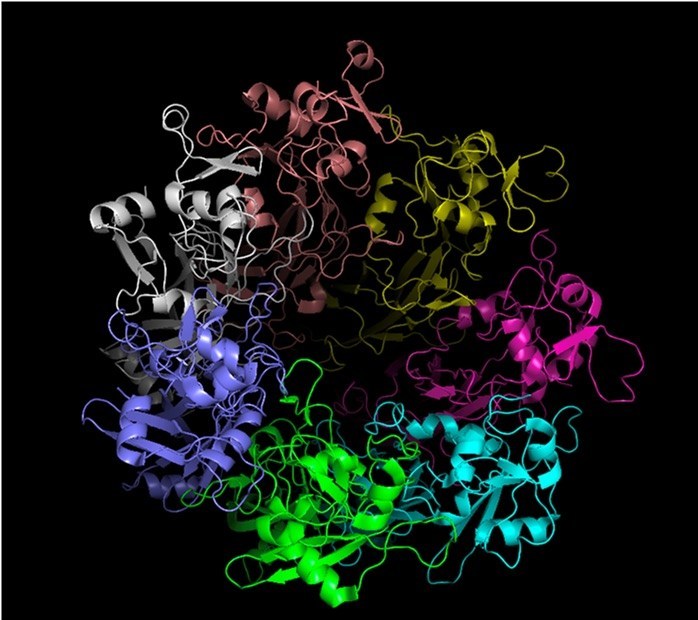 Computer-assisted visualization of the seven-subunit assembly of the toxin B of C. difficile. 