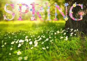 Image result for spring